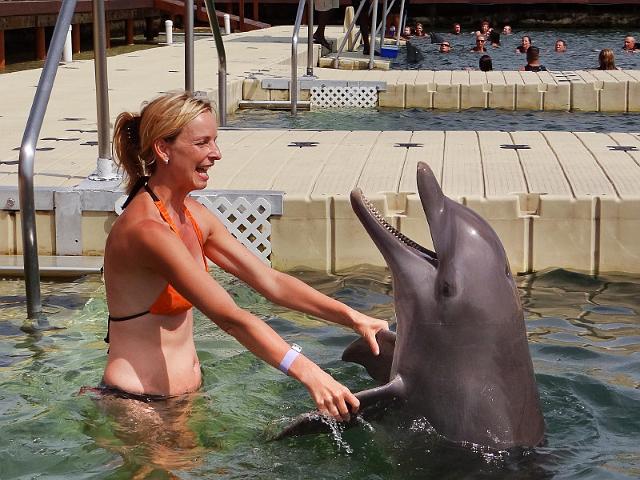 23 Grand Cayman, Dolphin Cove.jpg